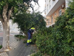 Comienza el Plan de Mejora de Jardines en el entorno de la Torre de los Perdigones