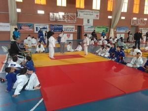 Vícar acoge los Encuentros Educativos de Promoción del Judo de Diputación