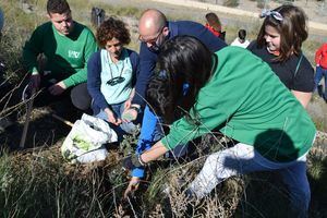 Nueva replantación de arbolado en la Sierra de Gádor