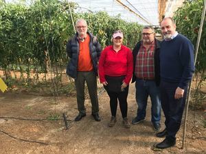 Ayudas para dos empresas agrícolas de Roquetas