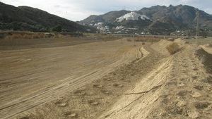 Plantan más de 11.000 árboles y arbustos en la desembocadura del río Aguas para evitar inundaciones