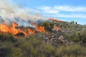 Sierra de los Filabres prevendrá los incendios con una combinación de fuego técnico y pastoreo