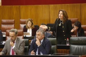 Crespo: “El Hospital La Inmaculada es ejemplo de la sanidad a la fuga en Andalucia”