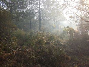 El primer incendio forestal del año en Almería arrasa 10 hectáreas en Felix