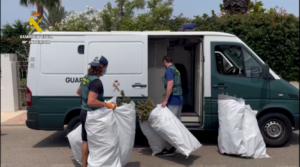 Cuatro detenidos por tener una plantación de marihuana en una vivienda de Roquetas