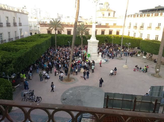 Valverde insiste en que los árboles se mantenga en la Plaza Vieja