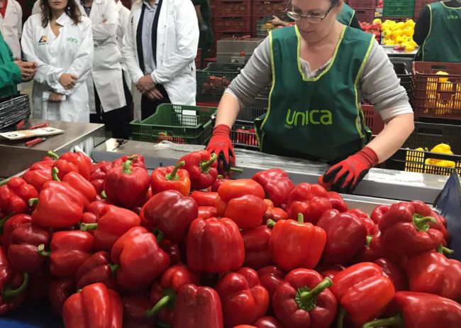 El peor inicio de campaña agrícola de los últimos seis años