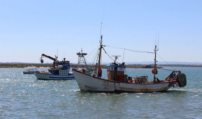 Crespo asegura que la Junta “defenderá a la flota andaluza de arrastre del Mediterráneo