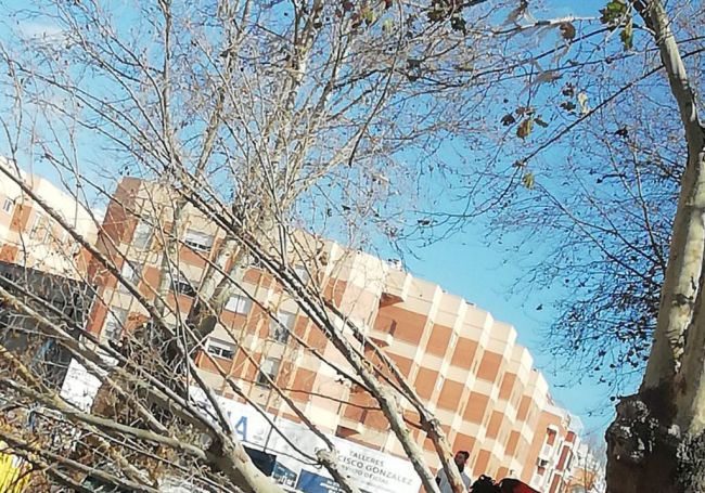 Previstos avisos amarillos por viento y oleaje en Almería