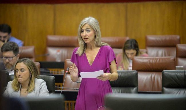 Andalucía junta en el Día del Flamenco