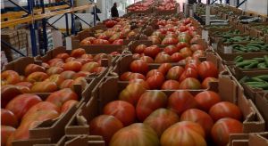 La Unión Europea refuerza la protección para la del Tomate de la Cañada