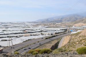 Almería recibe ahora casi medio millón más de la PAC que antes