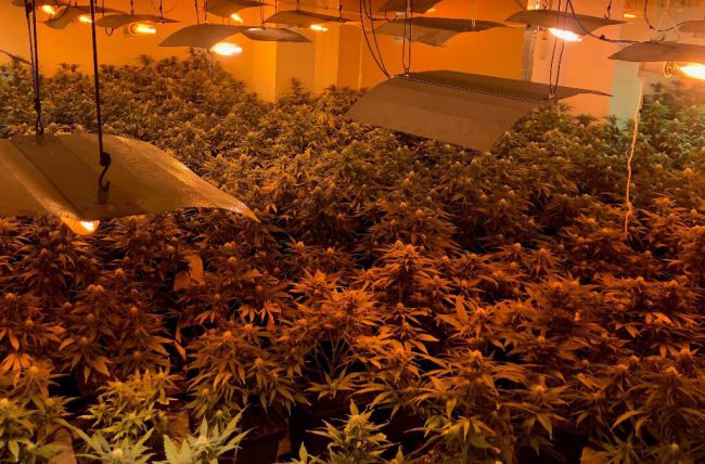 Usan una vivienda blindada para cultivar marihuana