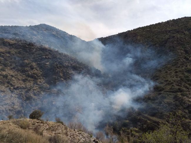 La UAL participa en un estudio sobre los incendios forestales y los suelos