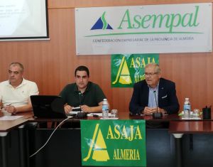 El "modelo Almería" deja de ser rentable según ASAJA