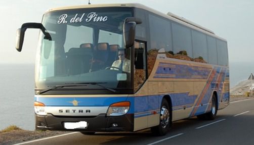 La Policía Local De Vícar Se Adhiere A La Campaña De Transporte Escolar De La DGT