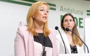 El PSOE de Diputación pide test #COVID19 para asintomáticos contra la orden del Gobierno