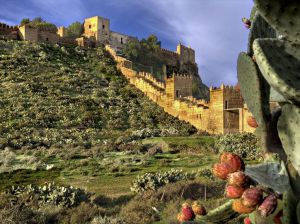 Amigos de la Alcazaba anima a la cultura ‘Desde Mi Ventana’