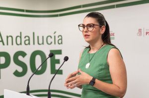 El PSOE pide ampliar el plazo de matriculación escolar por los problemas con la web