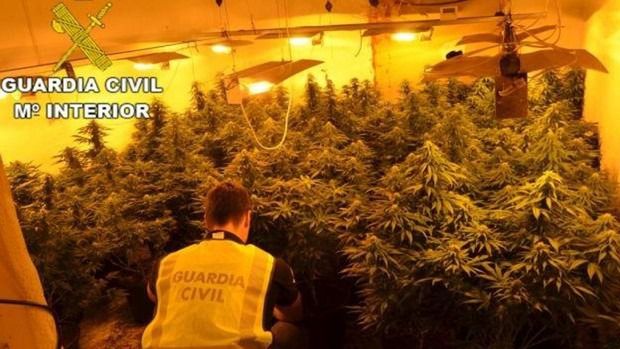 Desmantelada una plantación de marihuana en un edificio de Roquetas de Mar