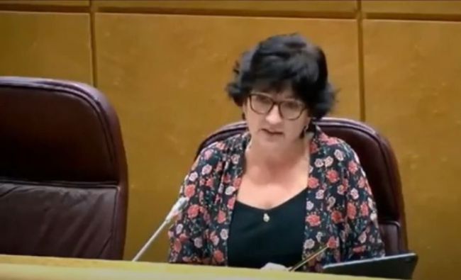 La senadora andalucista no apoya una moción en favor del AVE en Galicia por desentenderse de Almería