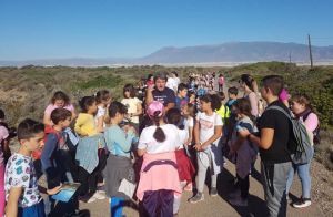 Itinerarios de educación ambiental por Punta Entinas