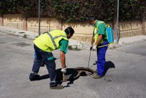 El Ayuntamiento desinfecta Todo El Bulevar Ciudad De Vícar