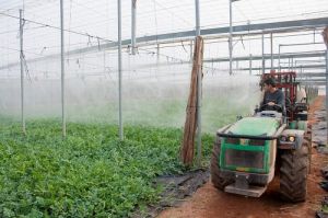 La Junta elabora una guía para el trabajo agrícola seguro ante el #COVID19