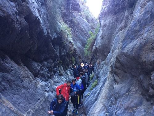 Nueva ruta de senderismo del PMD en el Barranco del Tartell