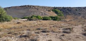 Tres zonas marinas de Almería entre las nuevas ocho de conservación aprobadas a nivel nacional