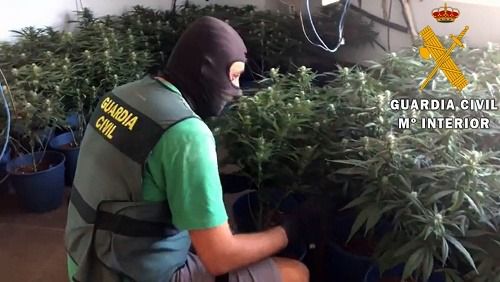 Dos detenidos por cultivar marihuana en una casa de campo de Gádor