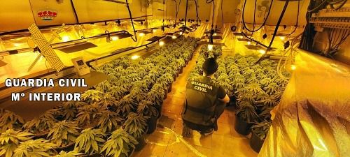 Detenido un hombre en Roquetas por tener una plantación in door de marihuana