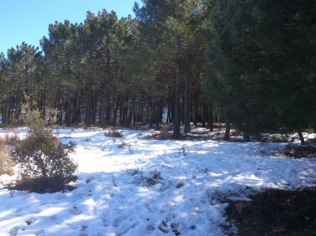 Almería también es nieve