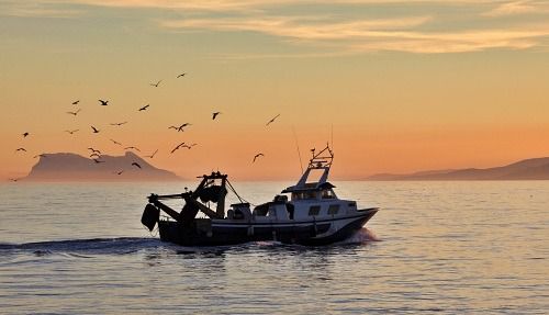 El Ayuntamiento de Carboneras eleva a la Junta la propuesta del sector pesquero para su Puerto