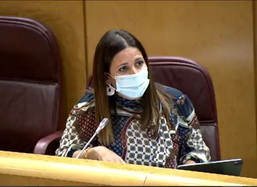 El PSOE propone en el Senado mejorar la vida de los pueblos