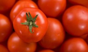 Hortyfruta alerta de la sobreoferta de tomate