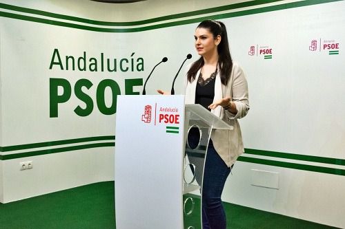 El PSOE que firma 4 mociones de censura acusa al PP andaluz de 'cálculos partidistas'