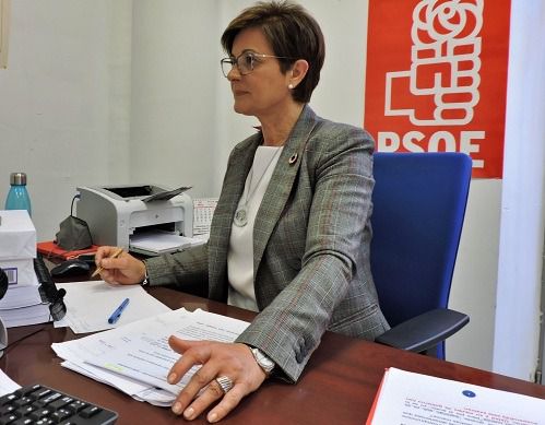 Satisfacción en el PSOE por el apoyo a un Plan de Actuación para impulsar el Sector 20