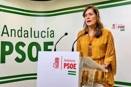 El PSOE insta al presidente de la Diputación a aplazar los procesos selectivos