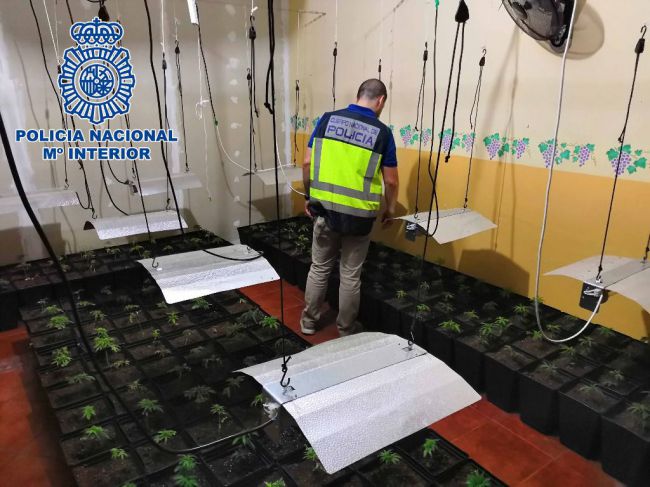 670 kilos de marihuana y más de media tonelada de hachís intervendios en tres meses en Almería