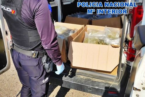 Cuatro detenidos por una plantación indoor