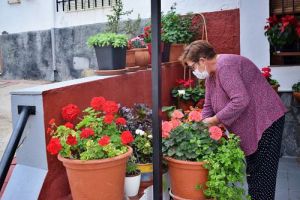 Punto Final A Las ‘Flores De Mayo’ En La Villa De Vícar