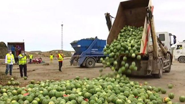 Asaja calcula 75 millones de euros en pérdidas por la crisis de precios de sandía y melón