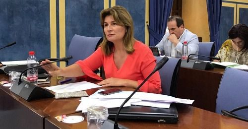 Espinosa: “Los centros de salud de Olula y Macael garantizan la atención a 17.000 personas las 24 horas del día”