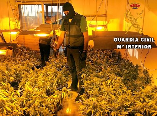 Una banda tenía 11 viviendas de Roquetas destinadas a cultivar marihuana