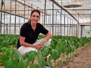 El Ejido registra 13.100 hectáreas invernadas que producen 1.330.000 toneladas de frutas y hortalizas