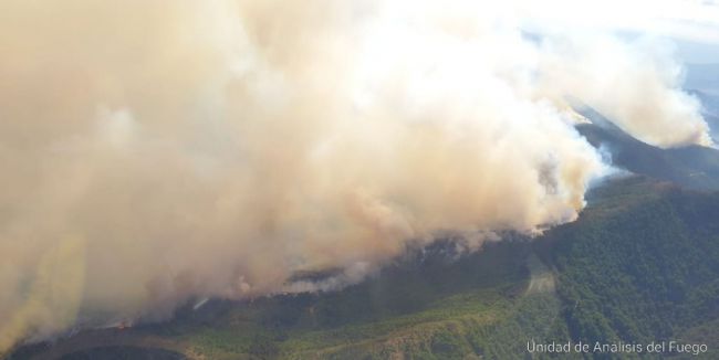 CSIF lamenta el fallecimiento del bombero forestal