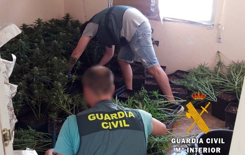 Acuden a extinguir el fuego en una vivienda de Roquetas... y encuentran una plantación de marihuana