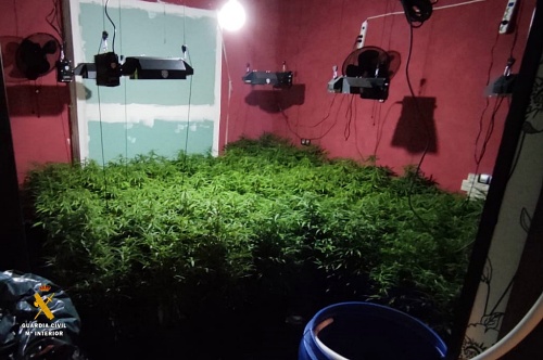 Un enganche ilegal de luz provoca un incendio y descubre una plantación de marihuana