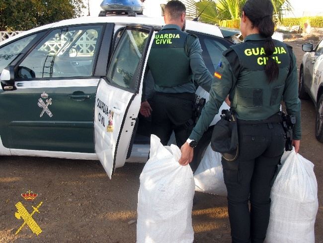 Desmantelan un punto de cultivo de marihuana en Níjar